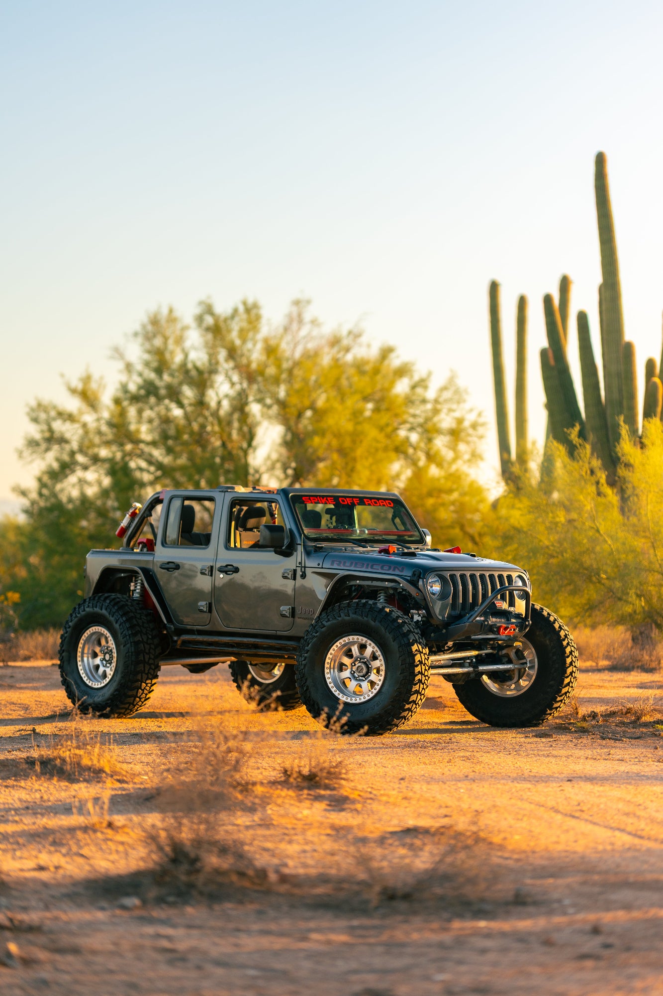 Spike Saguaro Suspension System