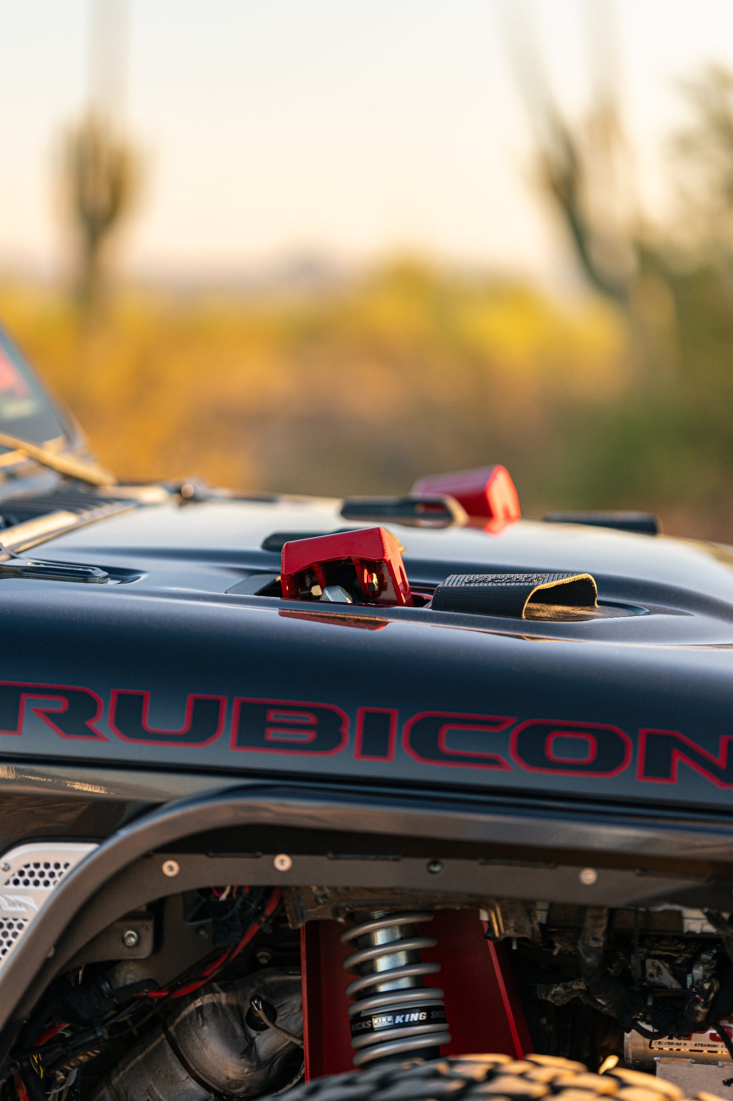 Spike Saguaro Suspension System