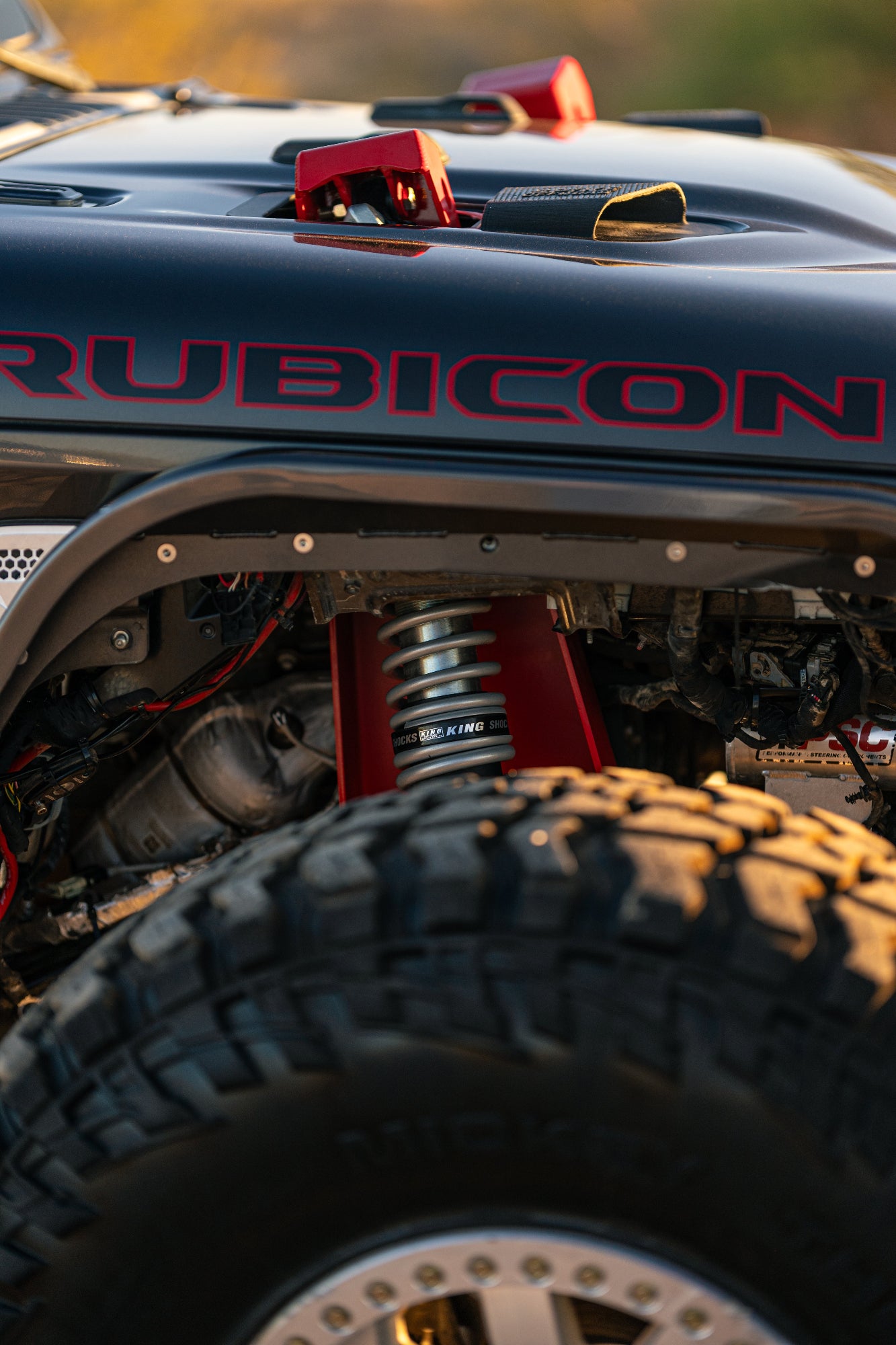 Spike Saguaro Suspension System