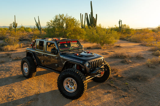 Spike Saguaro Suspension System
